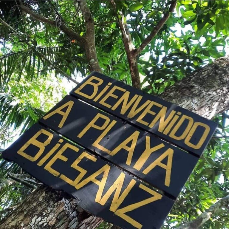 Biesanz Beach