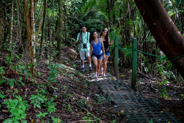 Monkey Trail