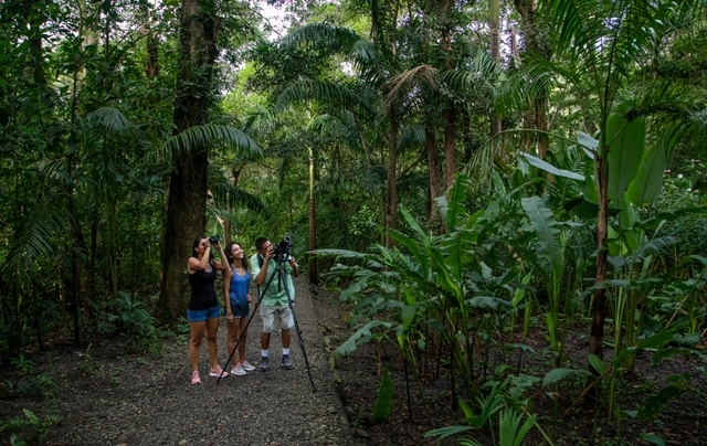 Monkey Trail1