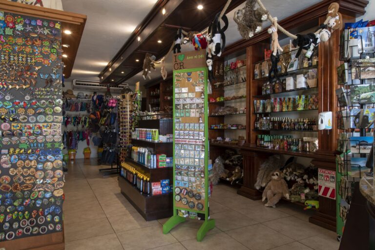 Tienda 7-min